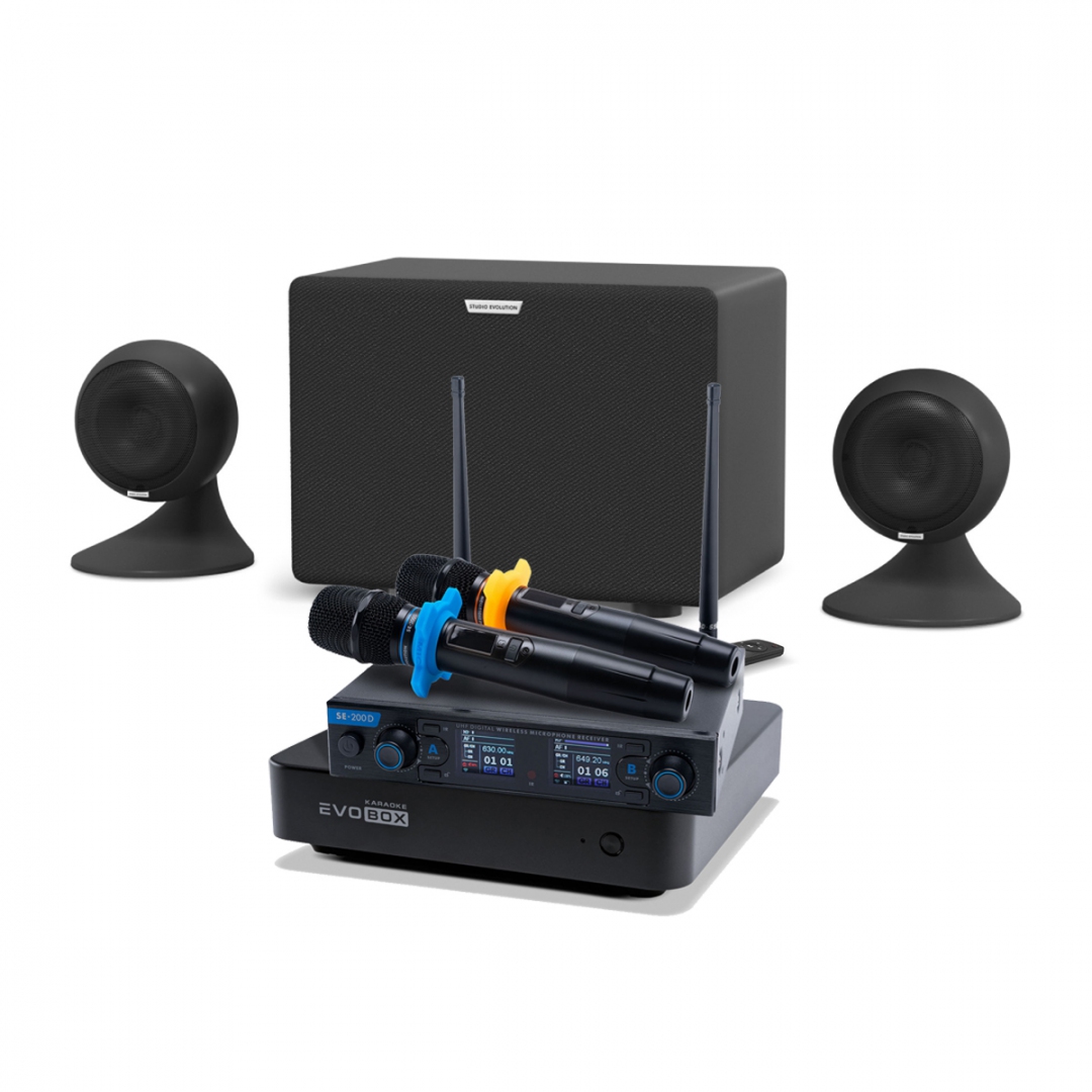 караоке-комплект EVOBOX + EvoSound Sphere 2.1 в Екатеринбурге
