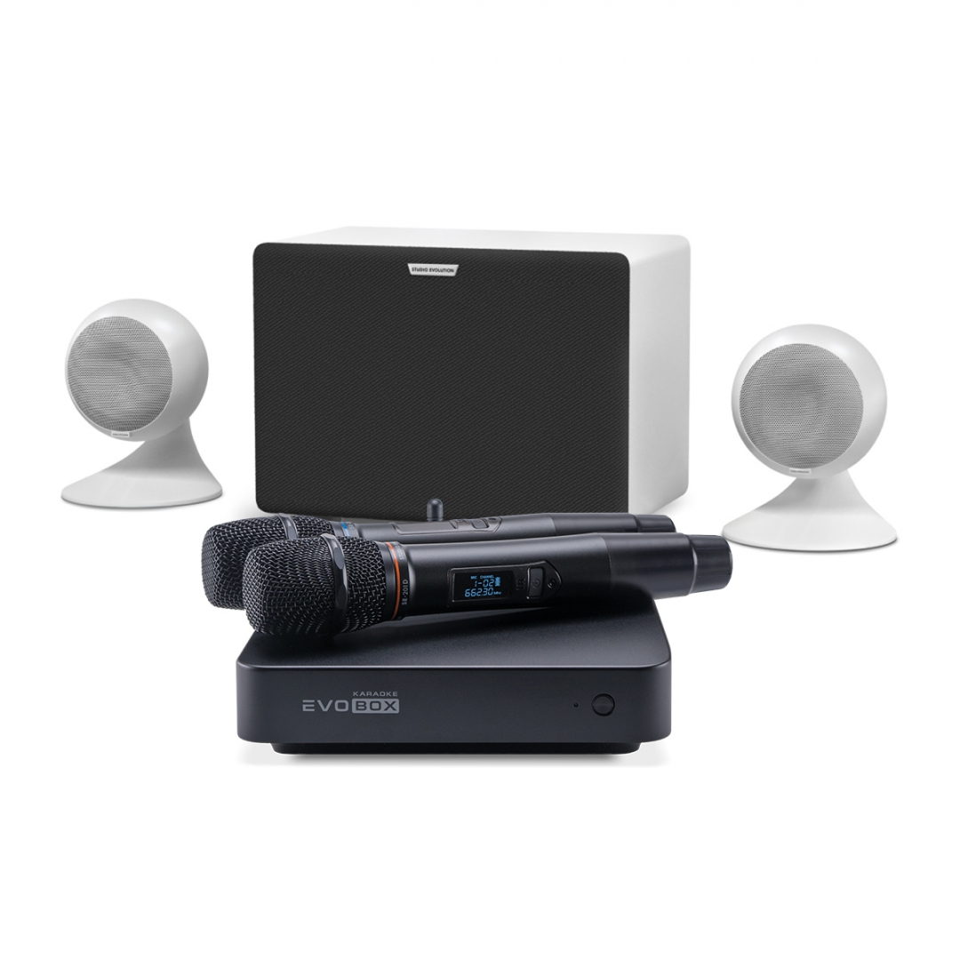 караоке-комплект EVOBOX Classic + EvoSound Sphere 2.1 в Екатеринбурге