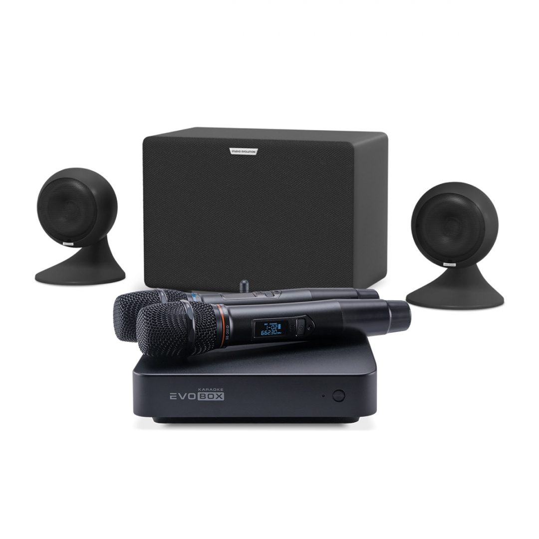 караоке-комплект EVOBOX Plus + EvoSound Sphere 2.1 в Екатеринбурге