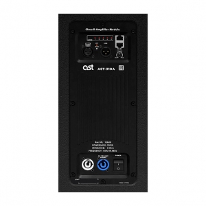 Активная акустическая система AST-310A в Екатеринбурге