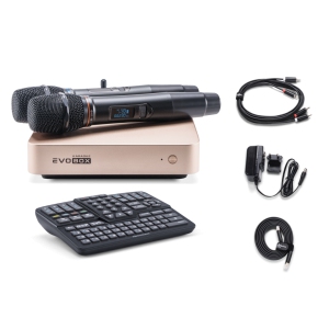 EVOBOX Classic караоке-система для дома в Екатеринбурге