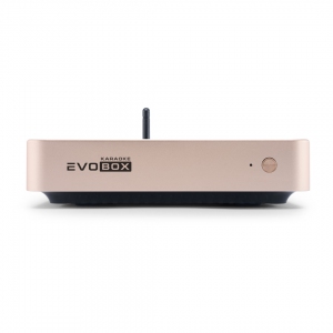 EVOBOX Plus караоке-система для дома в Екатеринбурге